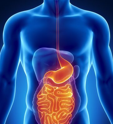 The Science Behind Kidney Disease Prevention