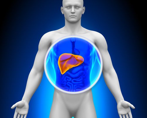 What is Liver Disease?
