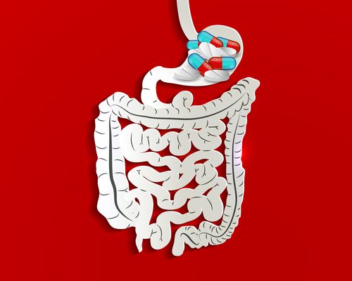 How Does The Body Metabolize Medication?