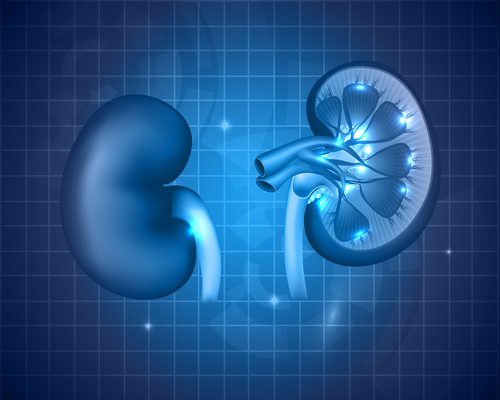 Clinical Research Toolbox: Nephrology