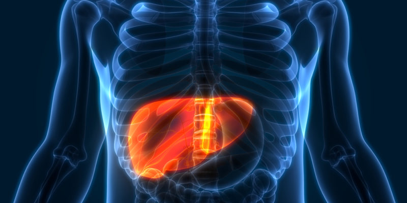 Five Liver Damage Warning Signs